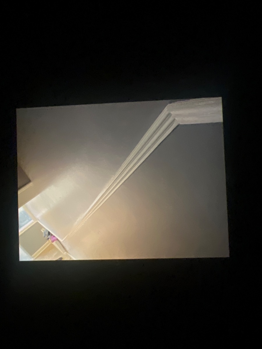 Painter and Decorator: Image 1
